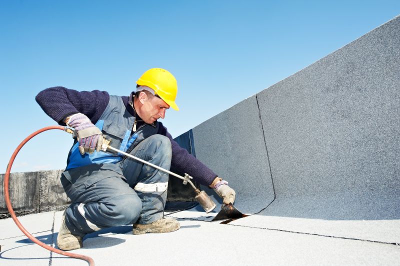 Increase Your Flat Roof Waterproofing Business with an AI Driven, Targeted Website